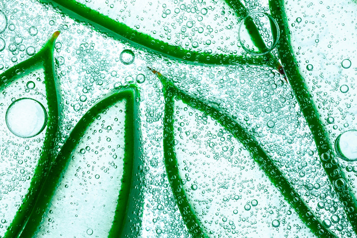 Aloe vera pour les sourcils, un soin naturel aux propriétés hydratantes et apaisantes pour prendre soin des poils, adoucir la peau et discipliner les sourcils.